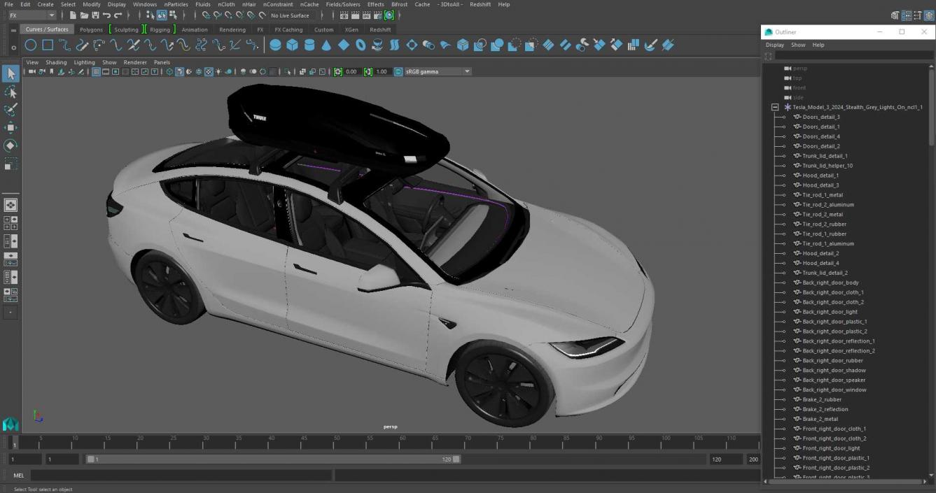 3D Tesla Model 3 2024 with Roofbox