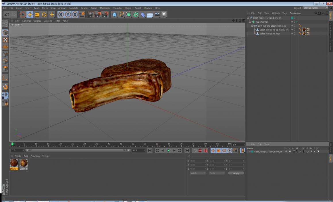 3D model Beef Ribeye Steak Bone In