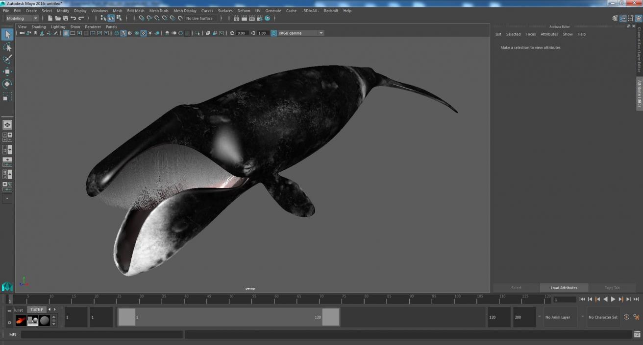 3D Greenland Right Whale