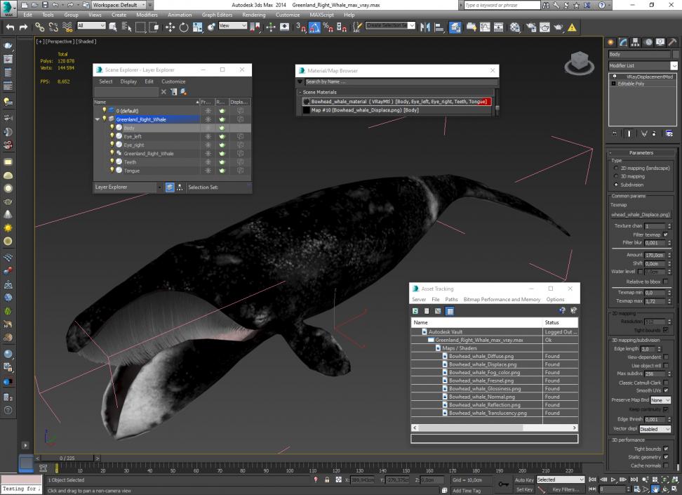 3D Greenland Right Whale