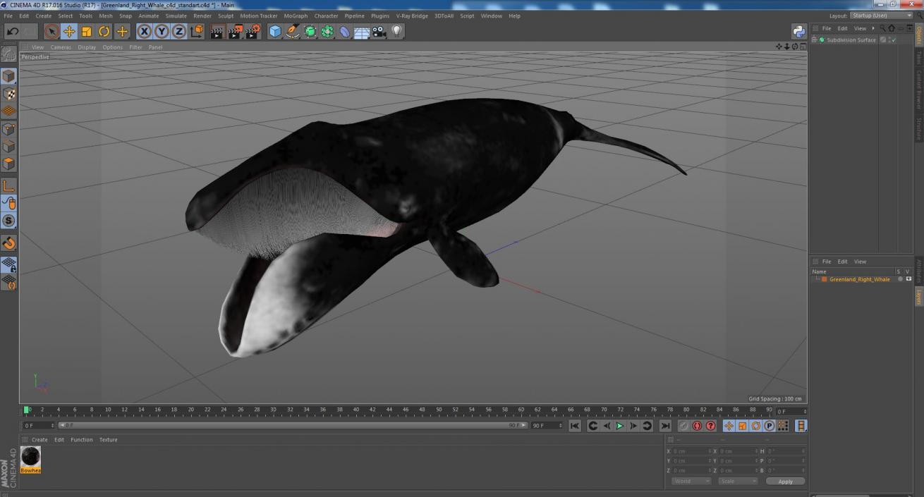 3D Greenland Right Whale