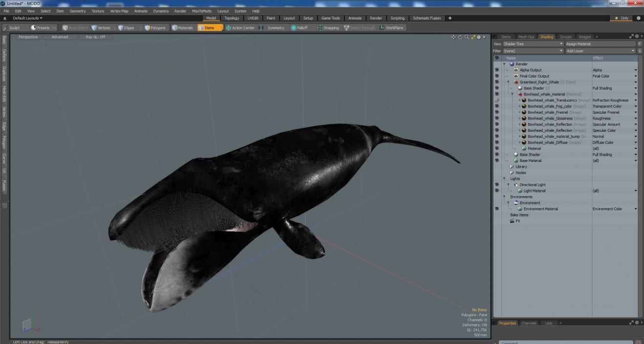 3D Greenland Right Whale