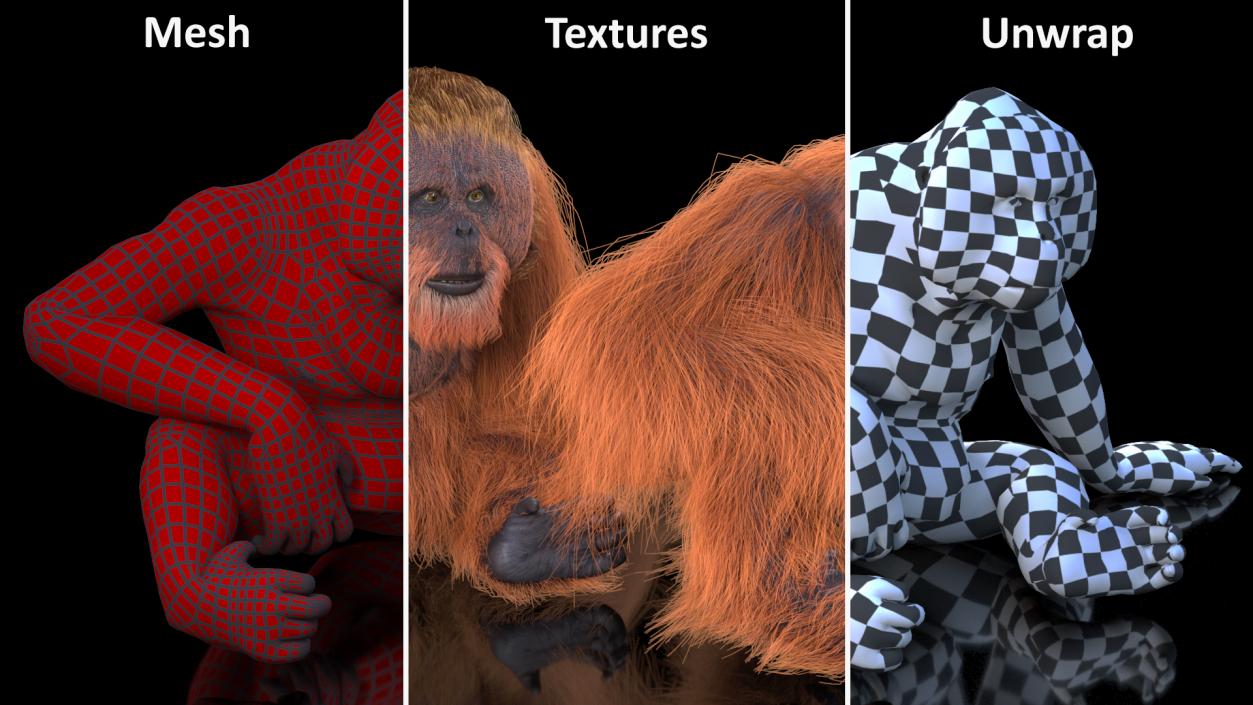 Tired Sitting Orangutan Fur 3D