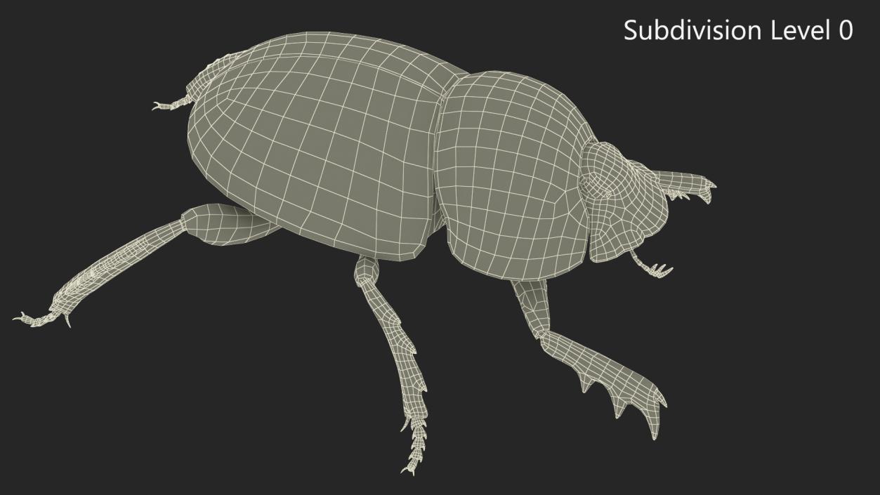 3D Manure Roller Beetle Dirty