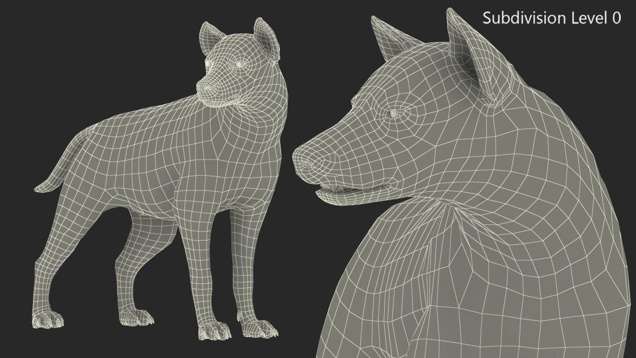 Hyena Rigged 3D