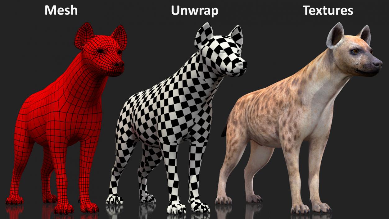 Hyena Rigged 3D