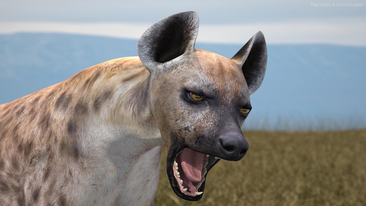 Hyena Rigged 3D