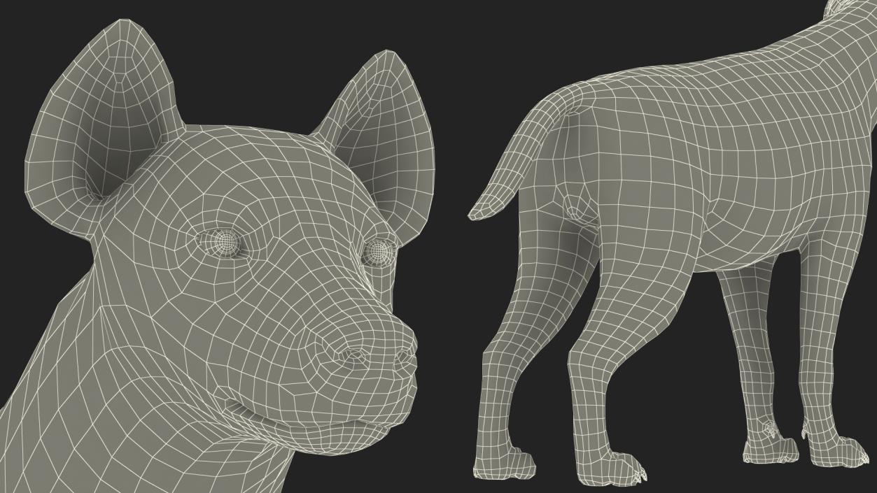 Hyena Rigged 3D