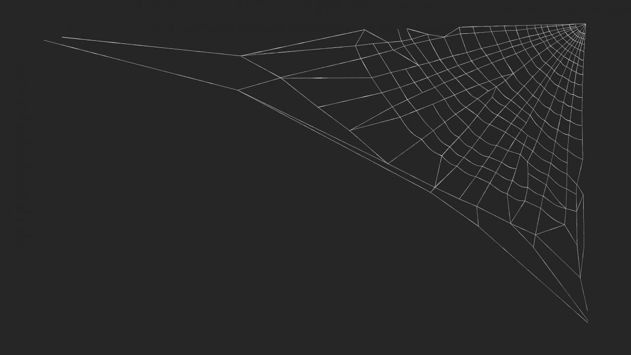 Corner Spider Web 3D