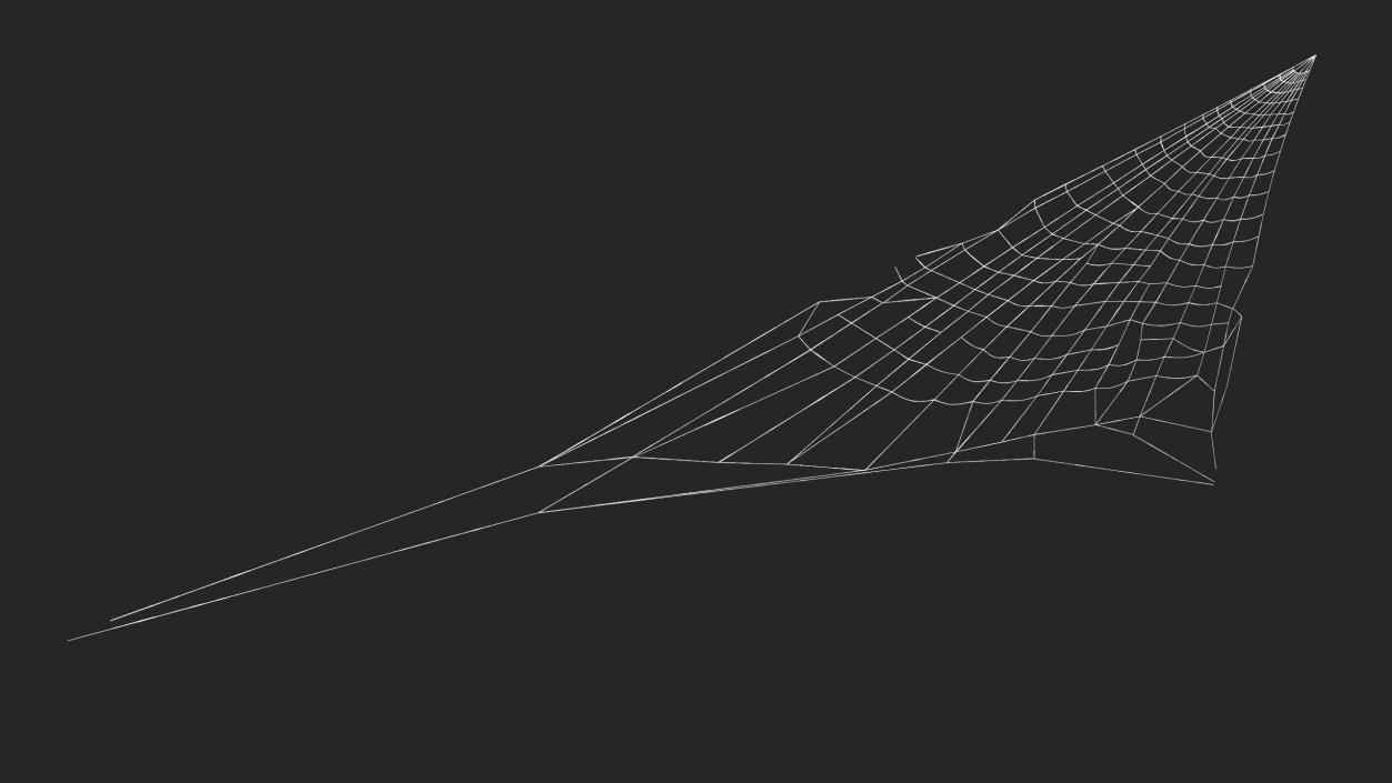 Corner Spider Web 3D