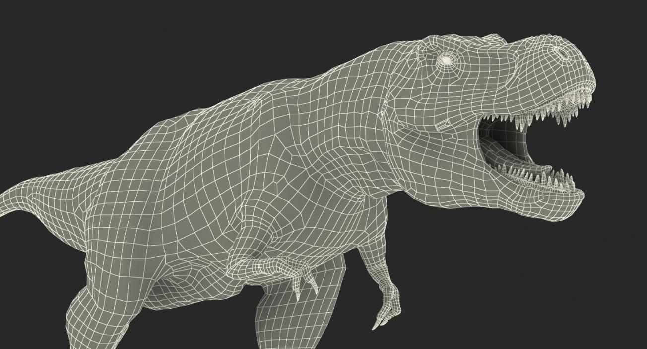 3D model Tyrannosaurus Rex Walking