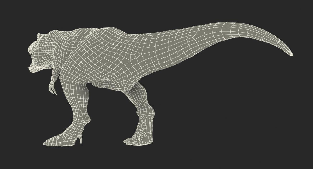 3D model Tyrannosaurus Rex Walking