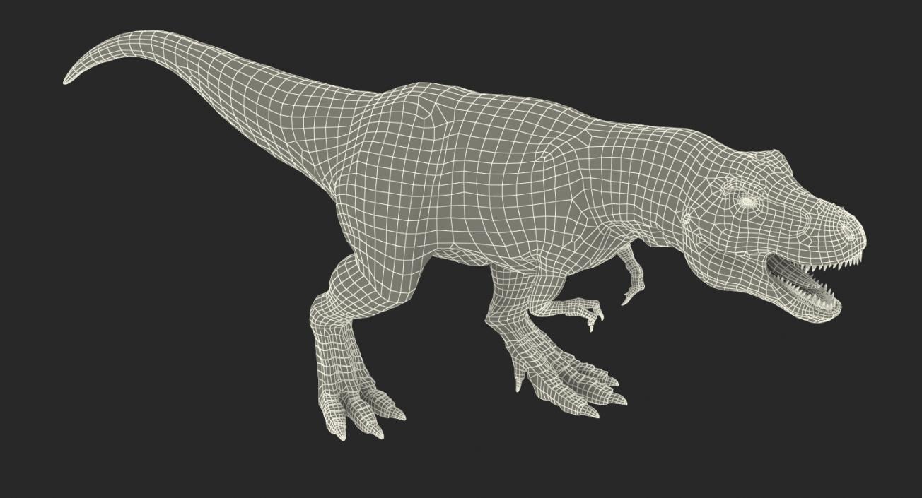 3D model Tyrannosaurus Rex Walking