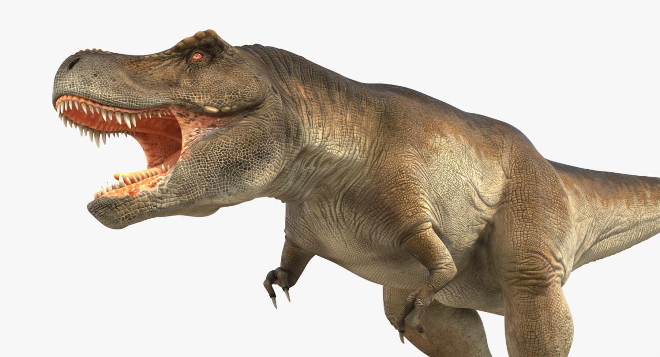 3D model Tyrannosaurus Rex Walking