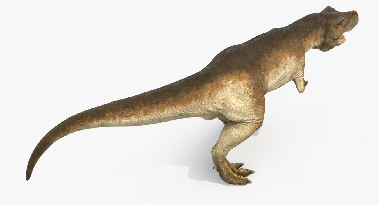 3D model Tyrannosaurus Rex Walking