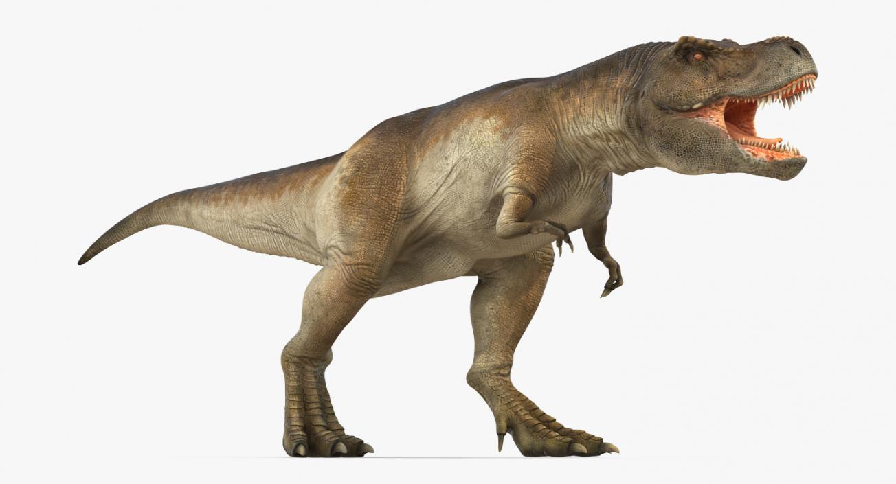 3D model Tyrannosaurus Rex Walking