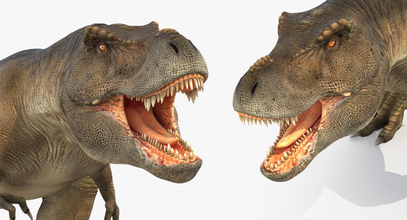 3D model Tyrannosaurus Rex Walking