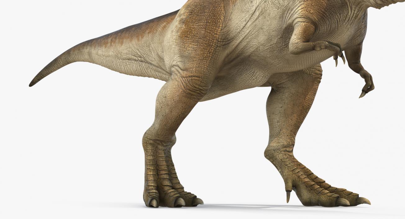 3D model Tyrannosaurus Rex Walking