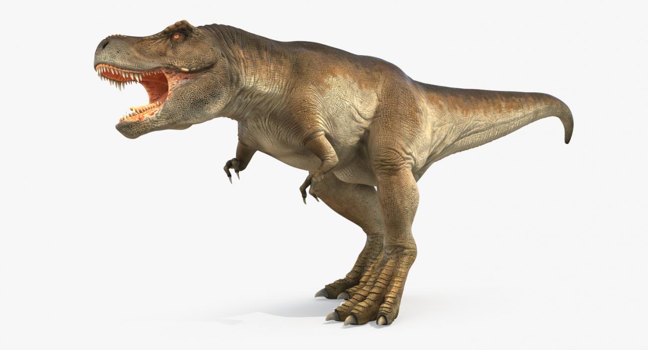 3D model Tyrannosaurus Rex Walking