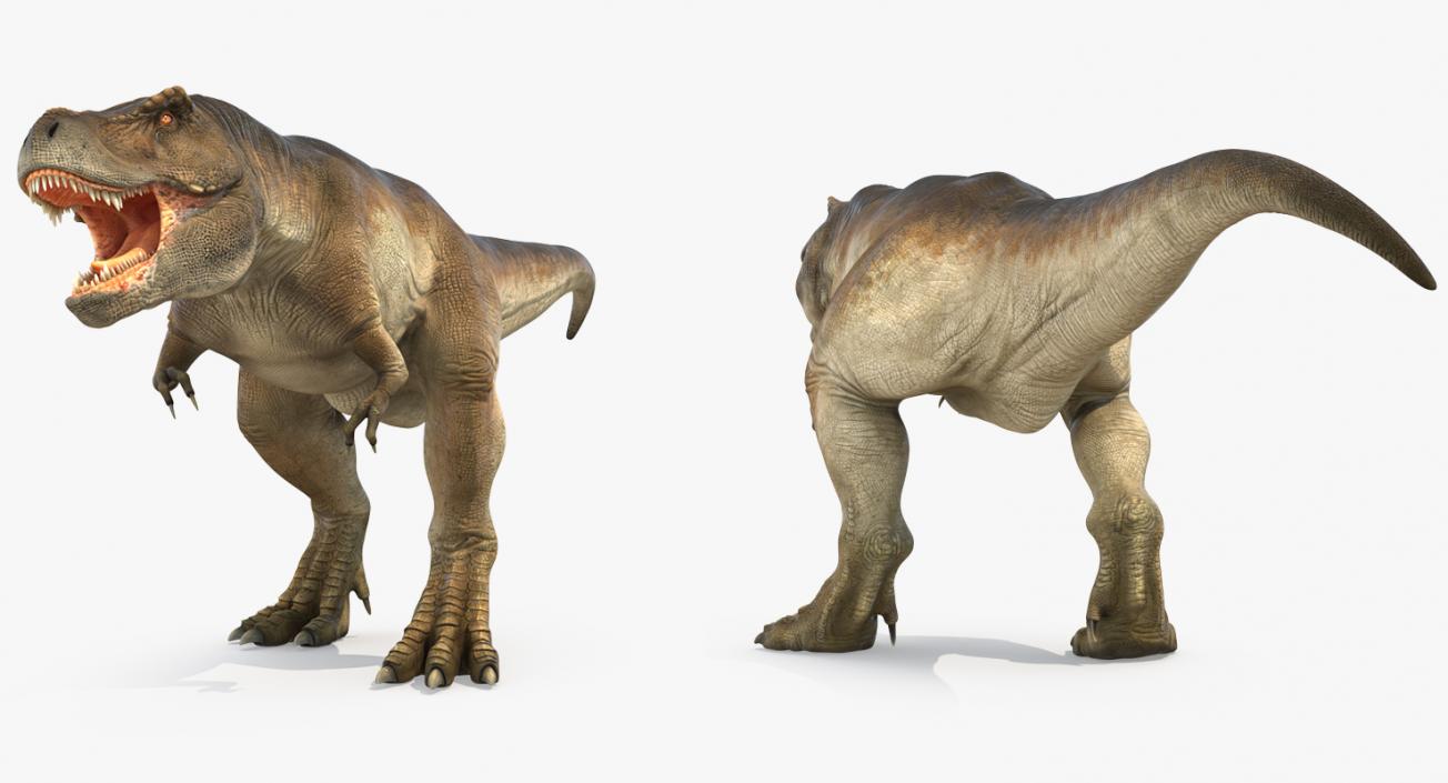 3D model Tyrannosaurus Rex Walking