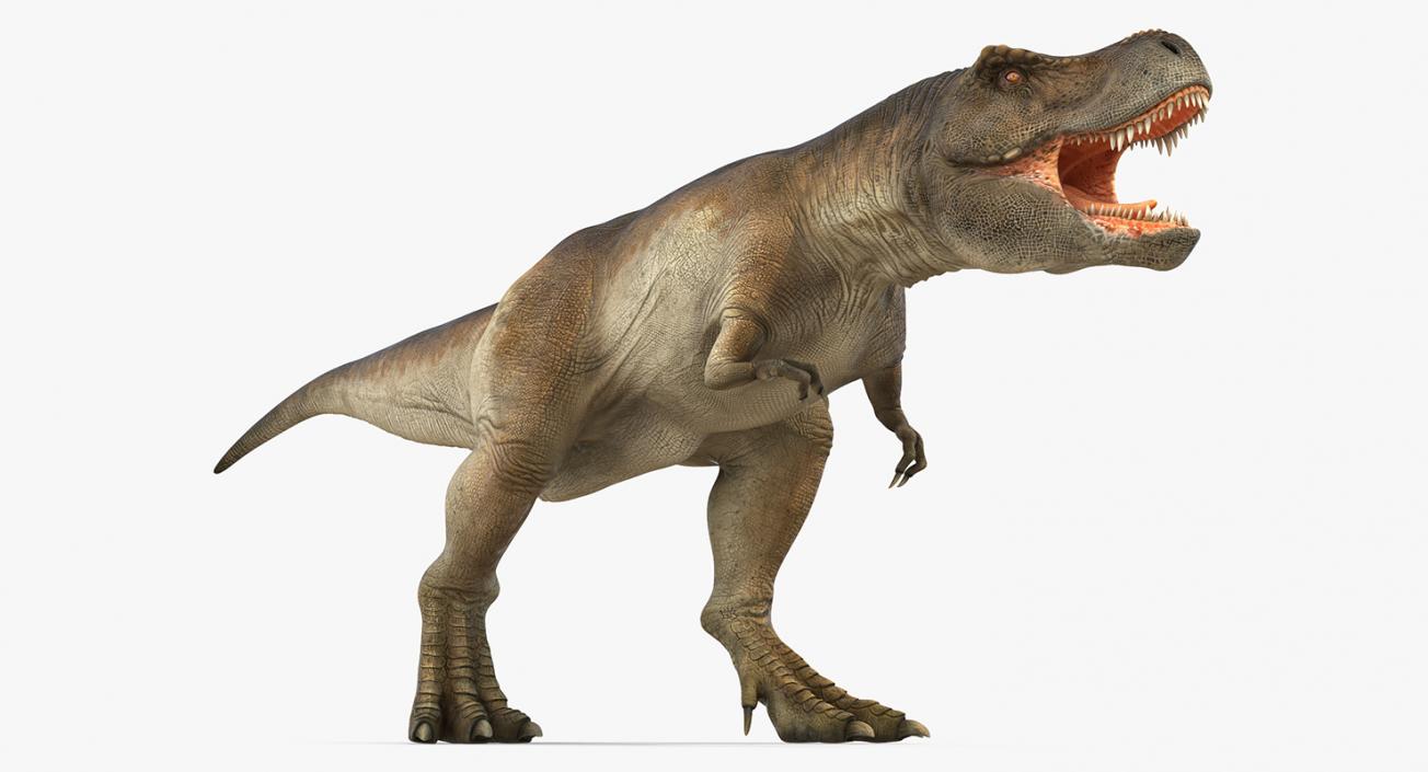 3D model Tyrannosaurus Rex Walking