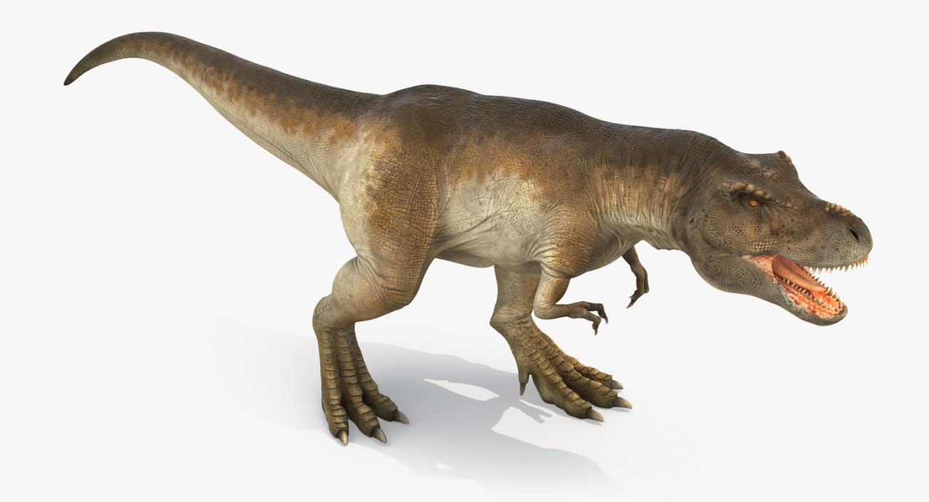 3D model Tyrannosaurus Rex Walking