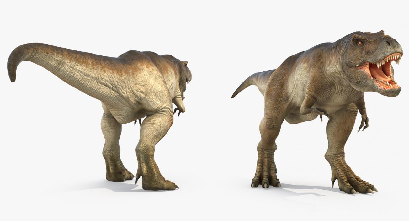 3D model Tyrannosaurus Rex Walking