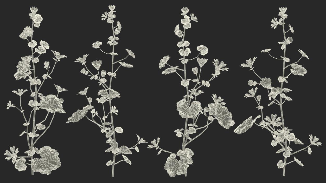 Flowering Plants Collection 7 3D model