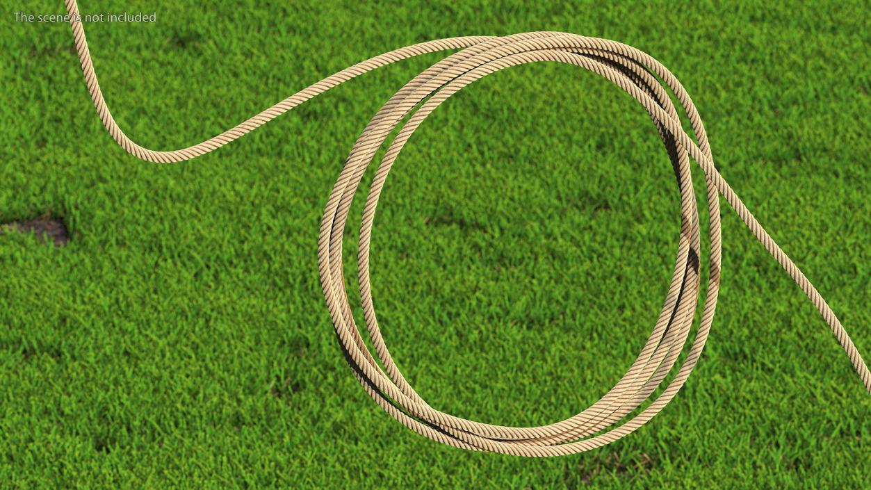 3D model Western Lasso Rope Dynamic Position