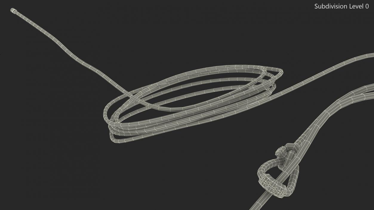 3D model Western Lasso Rope Dynamic Position