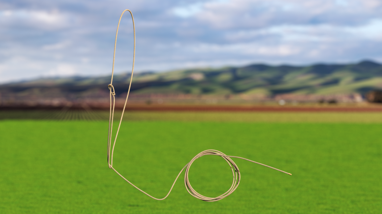 3D model Western Lasso Rope Dynamic Position