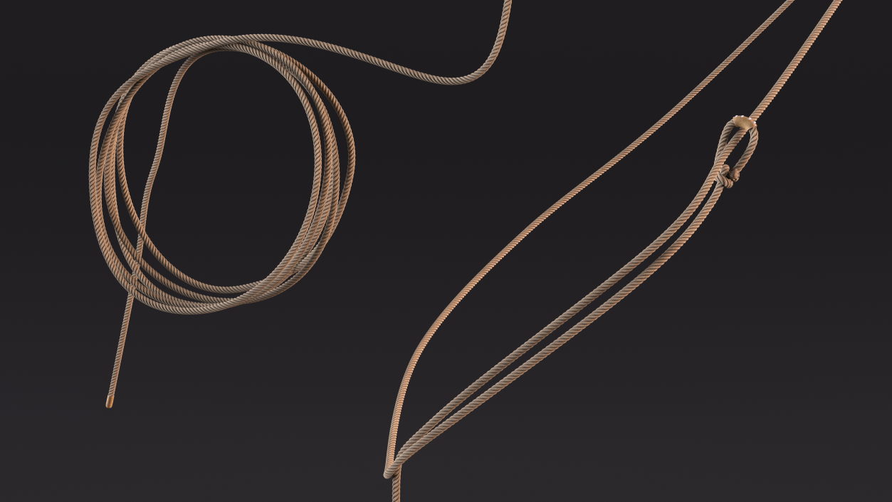 3D model Western Lasso Rope Dynamic Position