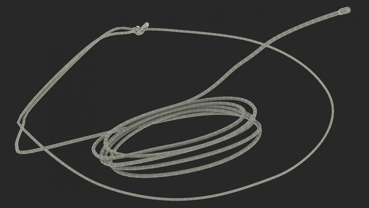 3D model Western Lasso Rope Dynamic Position