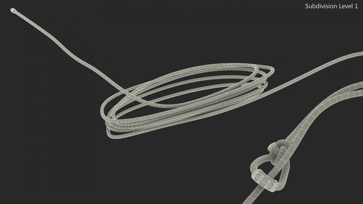 3D model Western Lasso Rope Dynamic Position