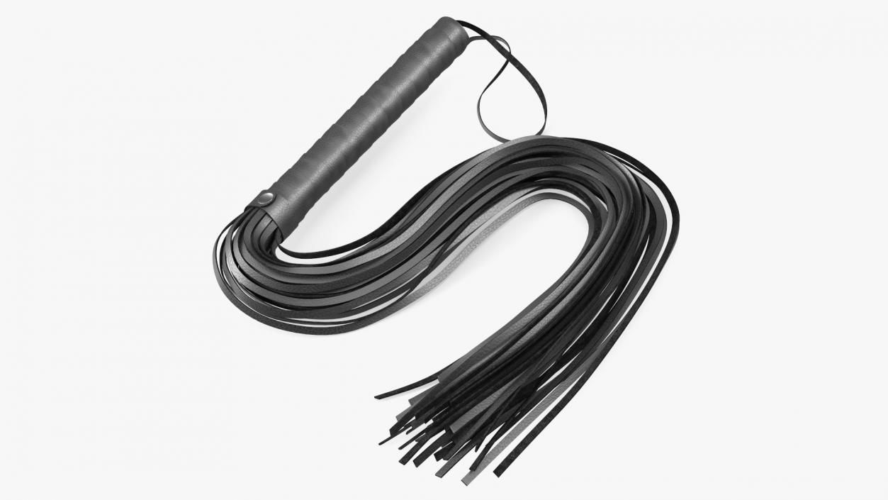 3D Short Whip Folded Black model