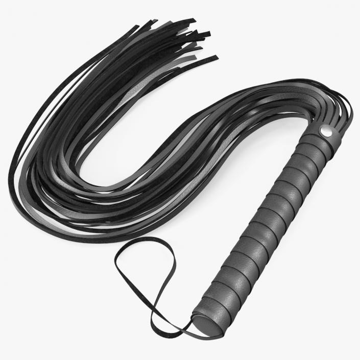 3D Short Whip Folded Black model