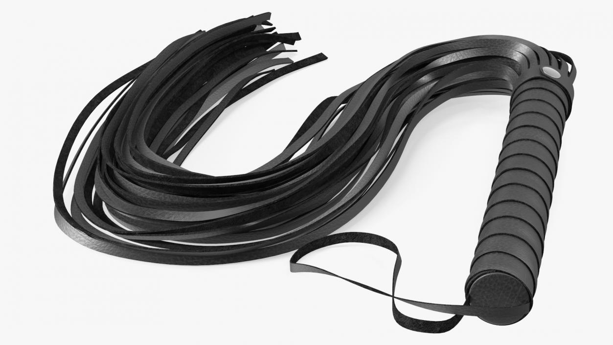 3D Short Whip Folded Black model