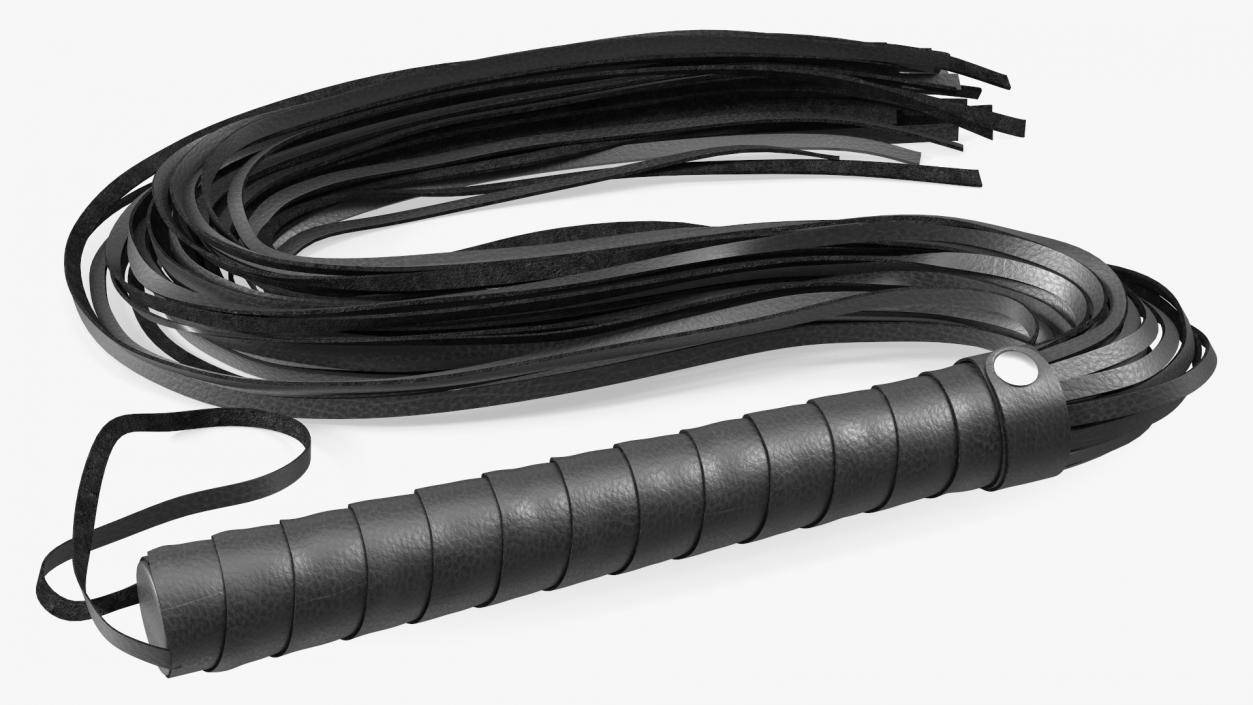 3D Short Whip Folded Black model