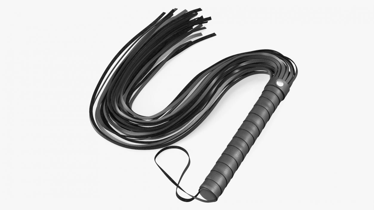 3D Short Whip Folded Black model