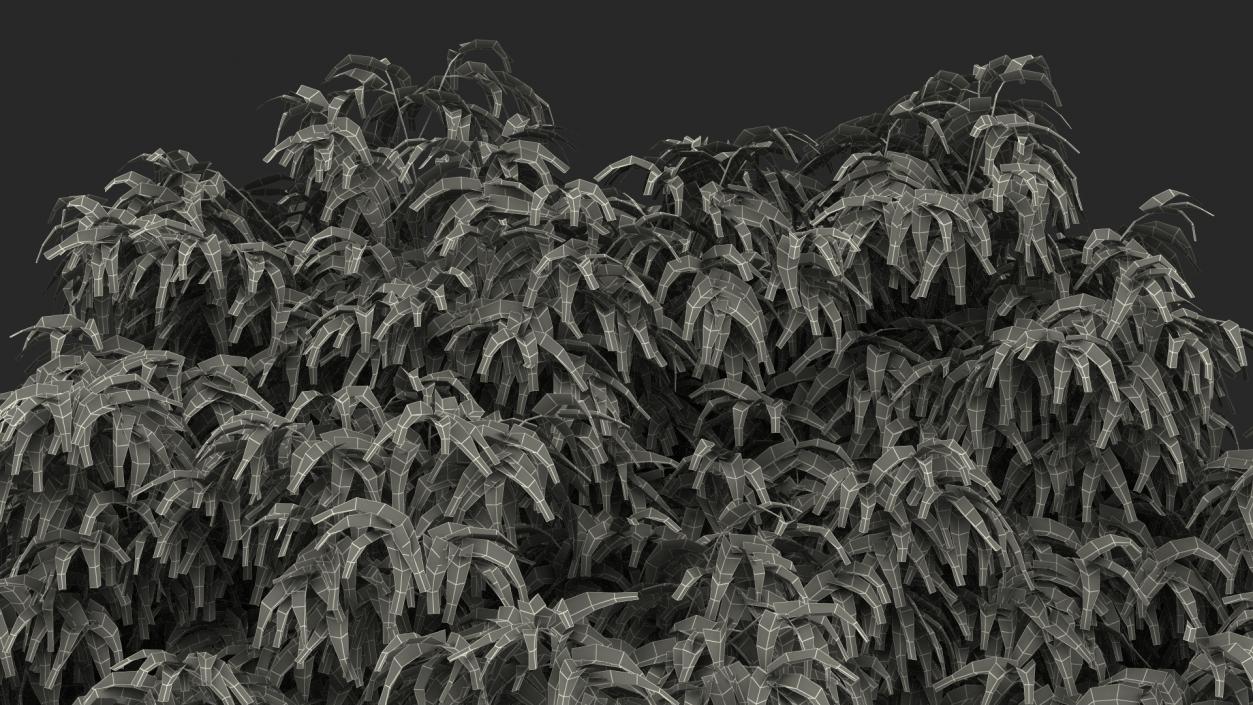 3D model American Elderberry Shrub