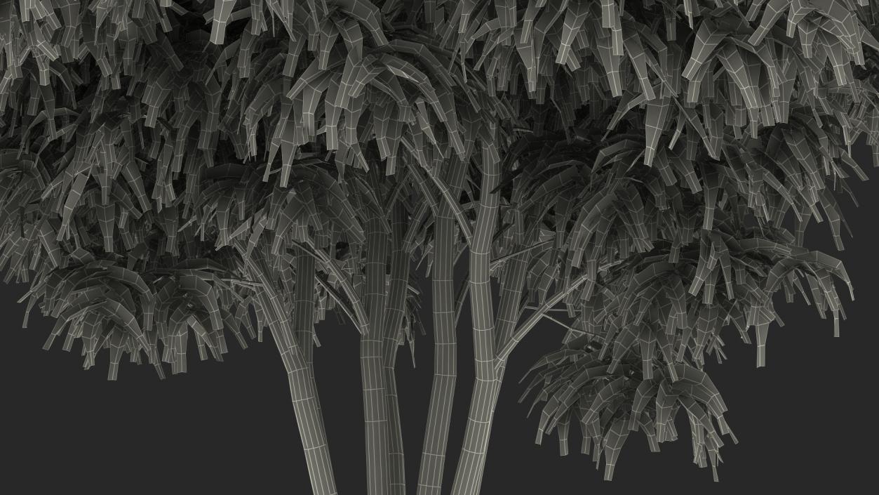 3D model American Elderberry Shrub