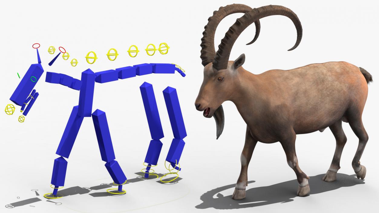 Alpine Ibex Rigged for Cinema 4D 2 3D model