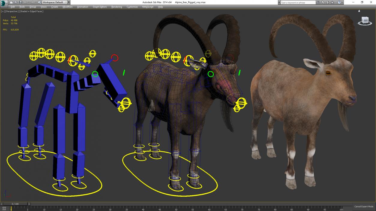 Alpine Ibex Rigged for Cinema 4D 2 3D model