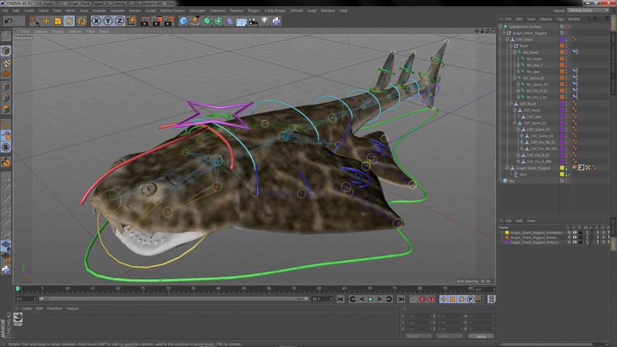 Angel Shark Rigged for Cinema 4D 3D