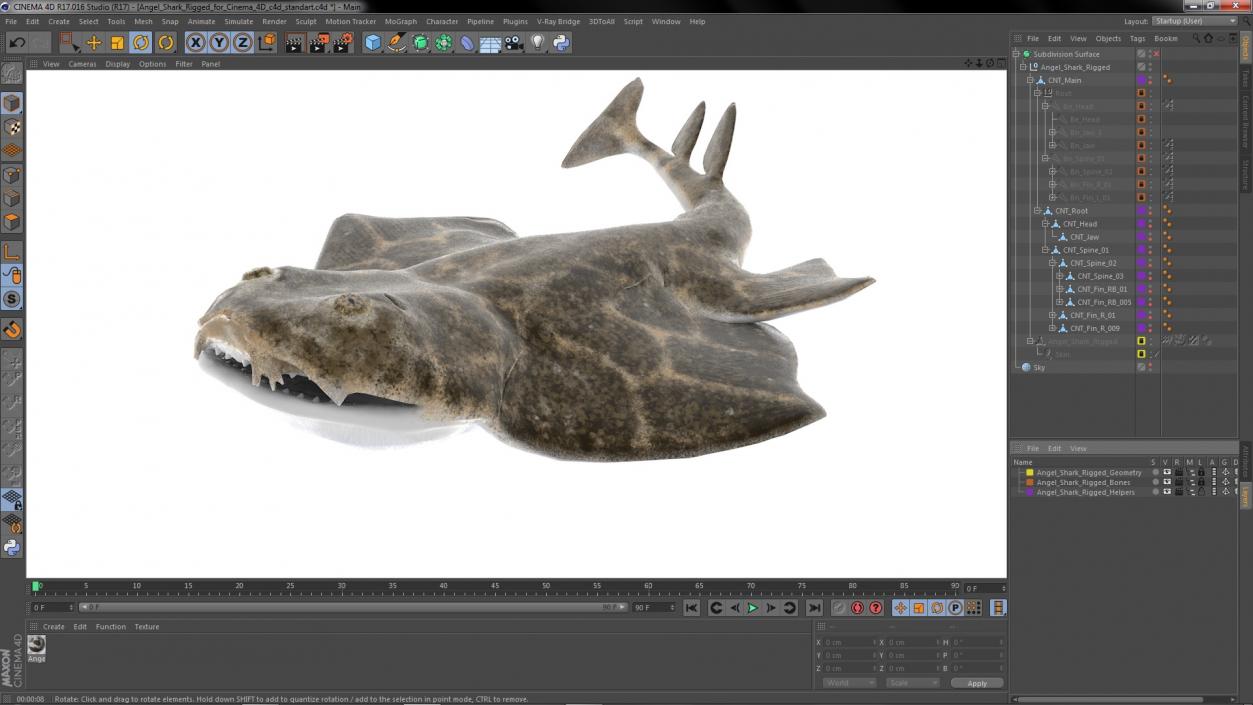 Angel Shark Rigged for Cinema 4D 3D