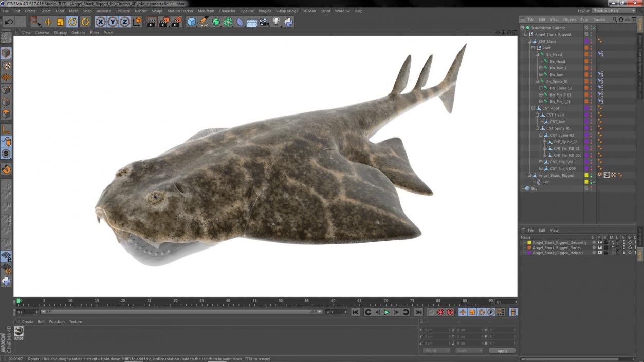 Angel Shark Rigged for Cinema 4D 3D