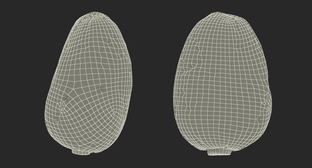 3D model Cacao Bean