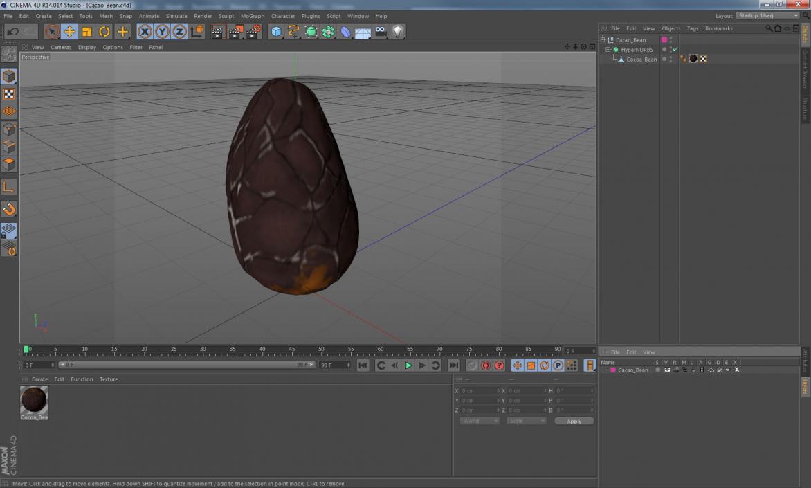 3D model Cacao Bean