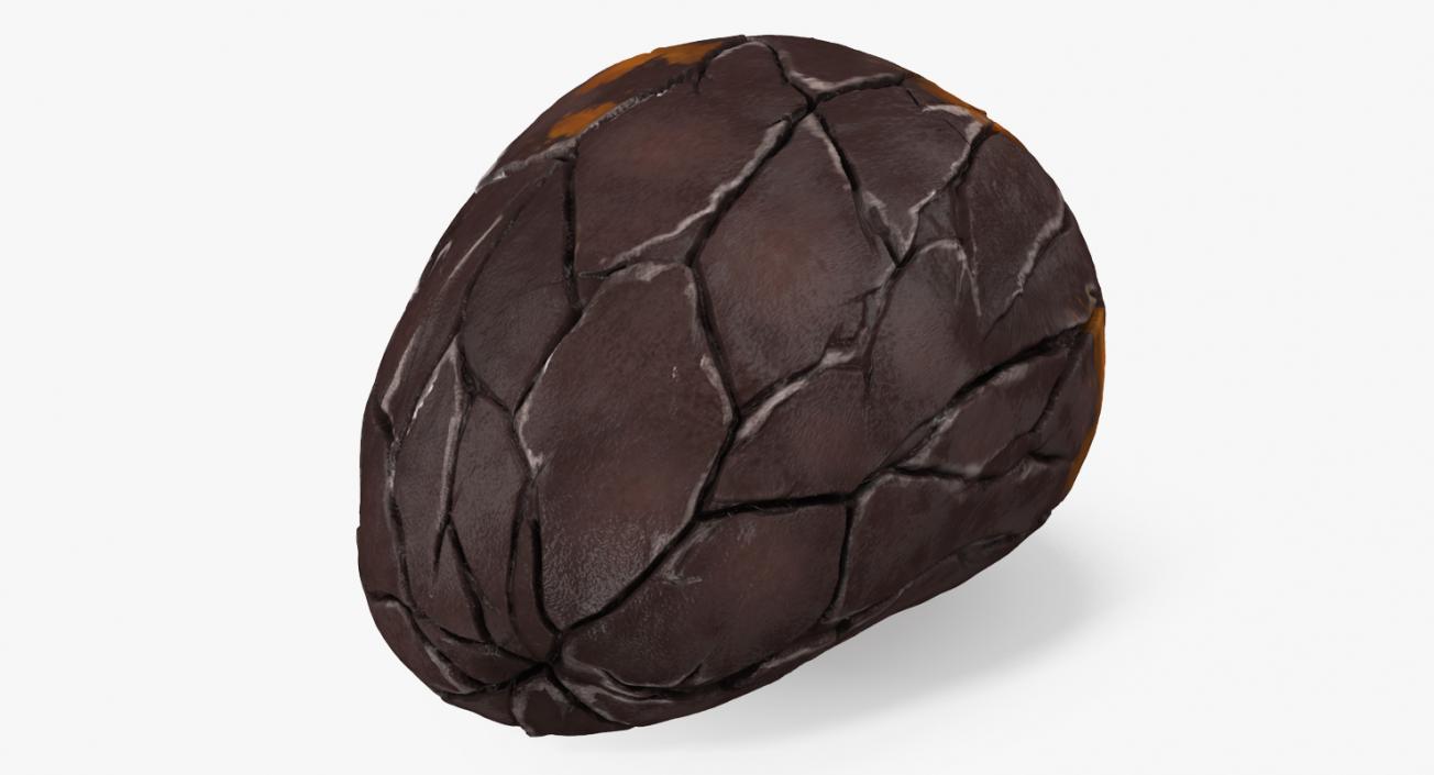 3D model Cacao Bean