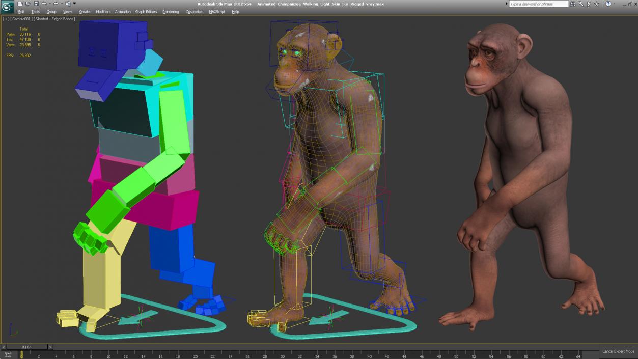 Animated Chimpanzee Walking Light Skin Fur Rigged 3D model